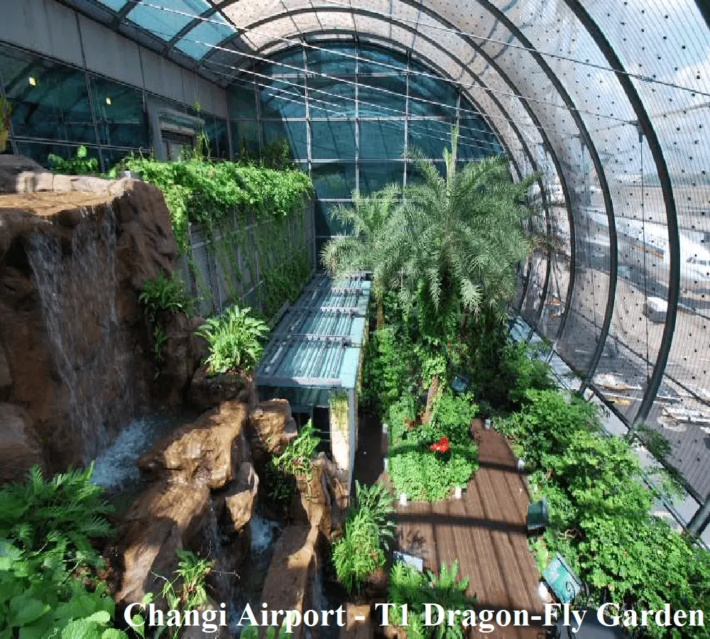 Changi Airport - T1 Dragon-Fly Garden - Krypton Lite Singapore project reference